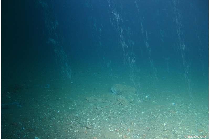 Oil & Gas Wells: Major Contributors to Greenhouse Gas Emissions