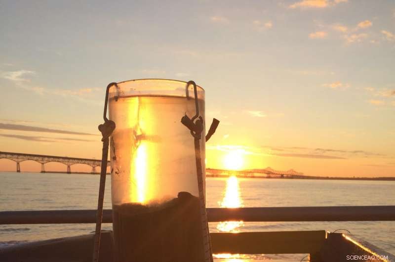 University of Delaware Researchers Identify Acidic Zone in Chesapeake Bay