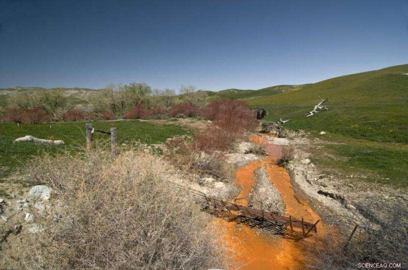 Safeguarding Food Chains: Isolating Mercury for Environmental Health