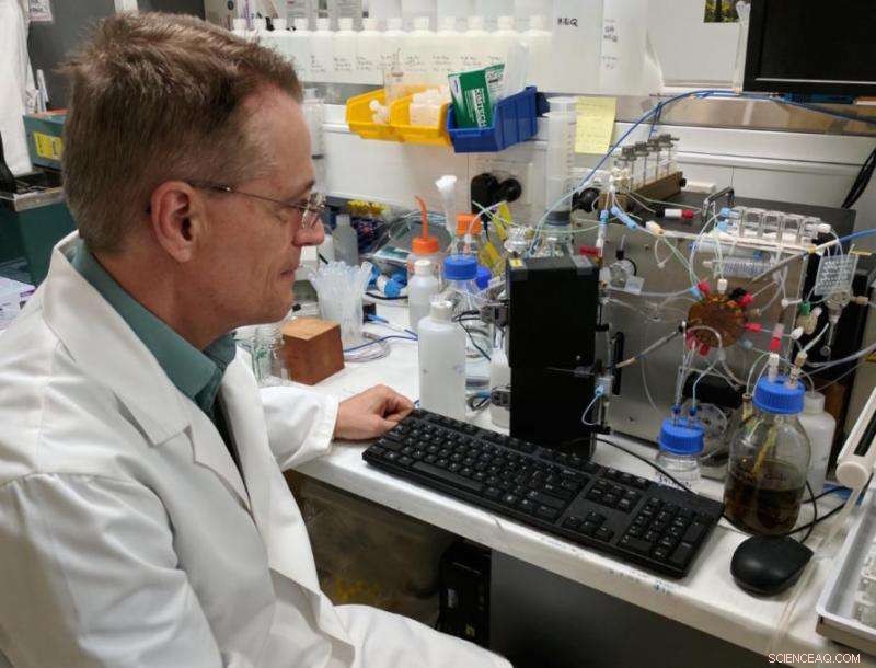 Safeguarding Food Chains: Isolating Mercury for Environmental Health