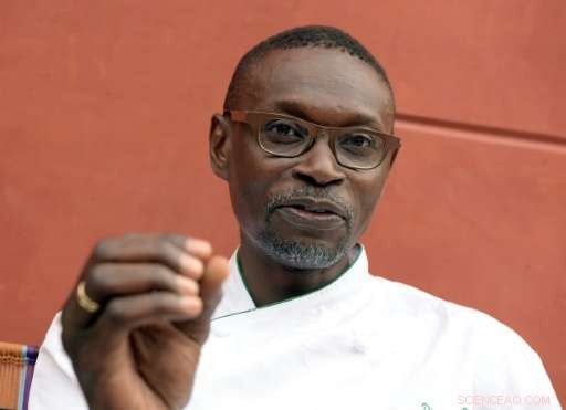 Senegal s Fonio Grain: A Nutrient-Packed Superfood Poised to Revitalize the Sahel