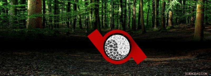 The Critical Role of Soil Microbes in Global Carbon Cycling