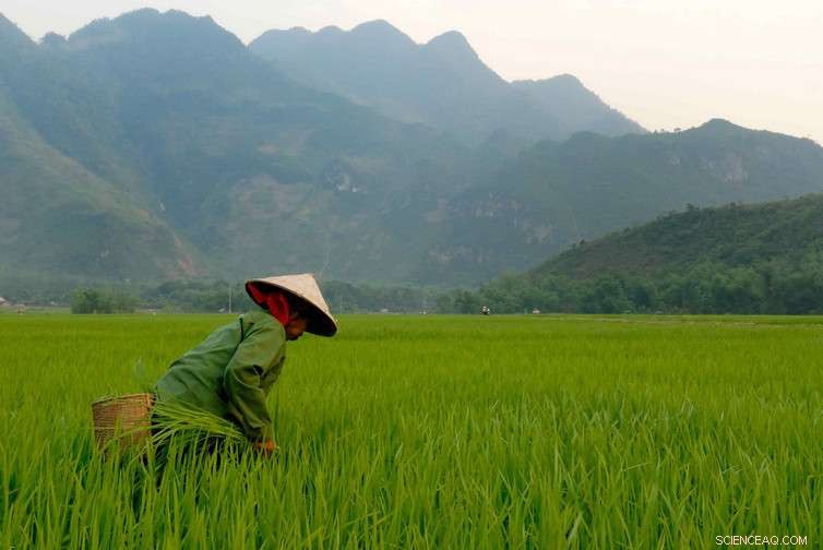 Beyond Floods: How Poverty and Underdevelopment Threaten Vietnam’s Most Vulnerable Communities