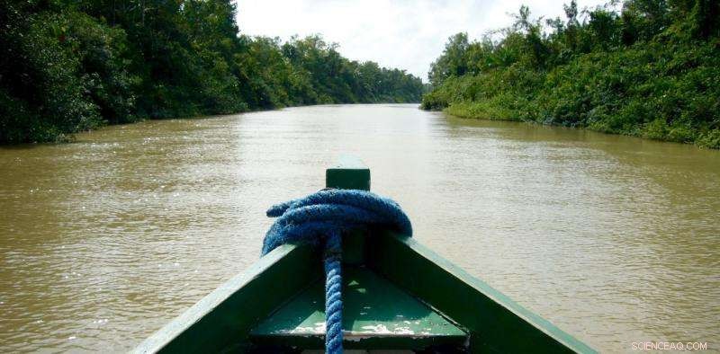 Global Protest Over Amazon Mining: Environmentalists Call for Urgent Action