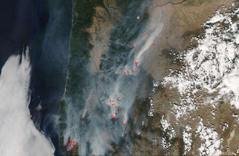 Oregon Fires Rage Across Cascades, Sweeping from North to South