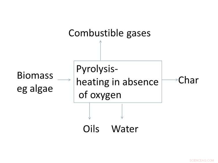 Biofuel Breakthroughs Narrow Gap Toward Negative Emissions