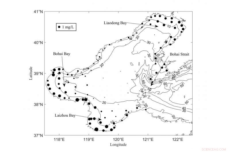 Advanced Numerical Modeling of Nonpoint Source Pollution in China’s Bohai Sea