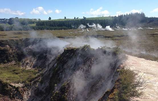 Scientists Deploy Methane-Eating Bacteria to Reduce Greenhouse Gas Emissions
