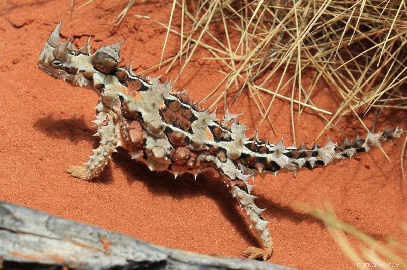 Ecological Niches  Periodic Table: A Tool to Predict Climate Change Impacts