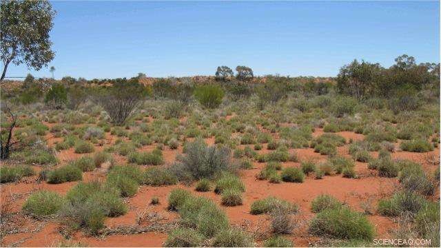 Ecological Niches  Periodic Table: A Tool to Predict Climate Change Impacts