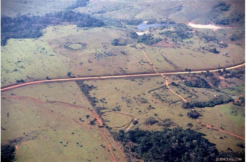 Decoding the Significance of Ancient Geometric Earthworks in Southwestern Amazonia