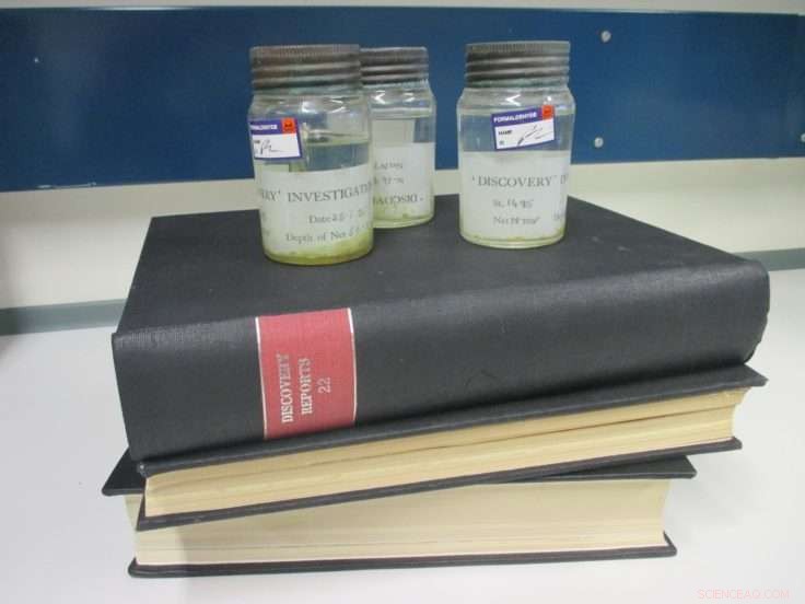 Long-Term Warming Resilience in Southern Ocean Zooplankton