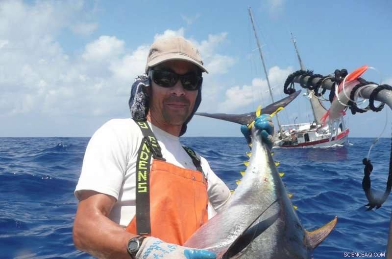 New Research Alleviates Concerns Over Radioactive Levels in Migratory Seafood