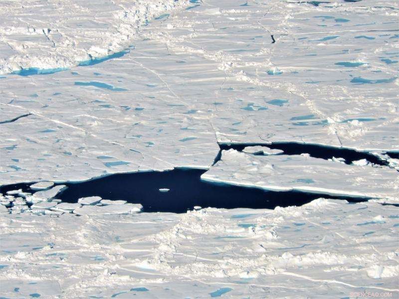 NASA Scientists Advance Models to Enhance Sea Ice Forecast Accuracy