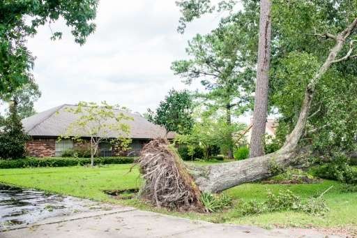 Texas Residents Reject Evacuation Orders, Weather Storms at Home