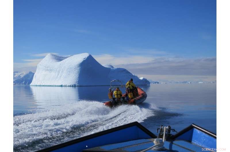 How a 1°C Rise in the Antarctic Ocean Alters Marine Life