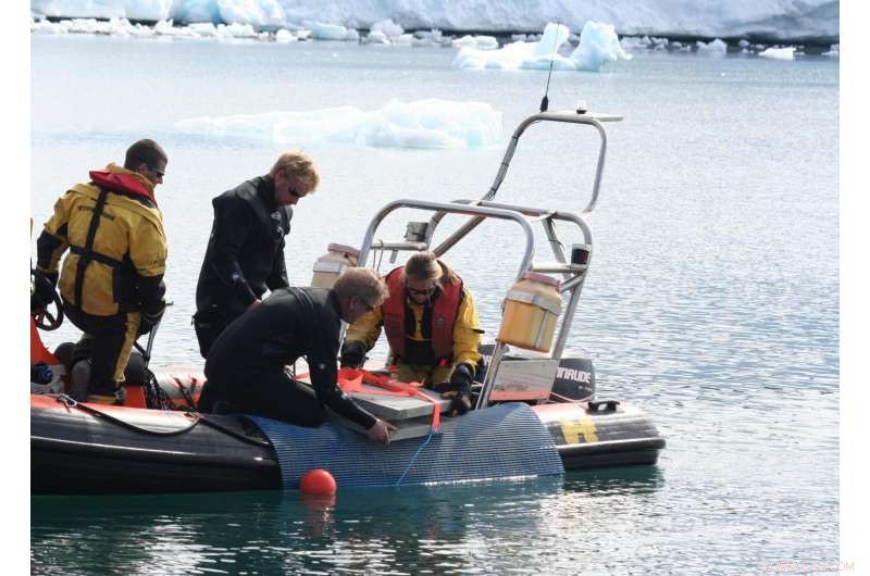 How a 1°C Rise in the Antarctic Ocean Alters Marine Life