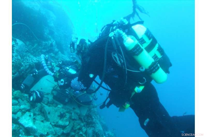 How a 1°C Rise in the Antarctic Ocean Alters Marine Life