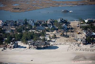 Coastal Wetlands Cut Hurricane Property Losses by 22%
