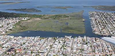 Coastal Wetlands Cut Hurricane Property Losses by 22%