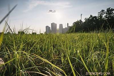 Coastal Wetlands Cut Hurricane Property Losses by 22%