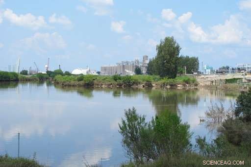 Flooding Threatens Houston s Toxic Waste Sites: What Residents Need to Know