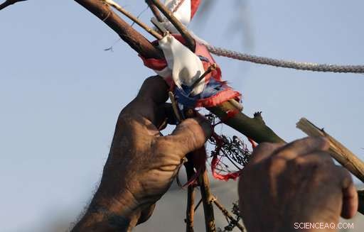 Gradual Recovery: Coastal Towns Find Relief After Hurricane Harvey