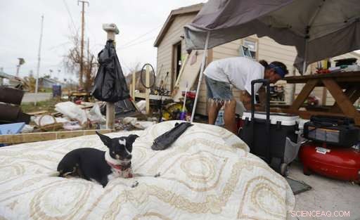 Gradual Recovery: Coastal Towns Find Relief After Hurricane Harvey