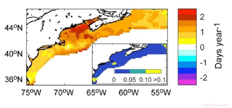 Gulf of Maine Faces Record-Long, Intensifying Summers