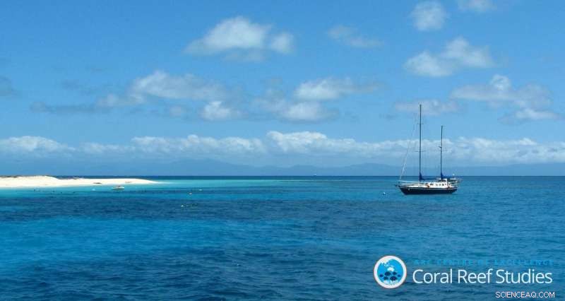 Global Community Mobilizes to Protect the Great Barrier Reef