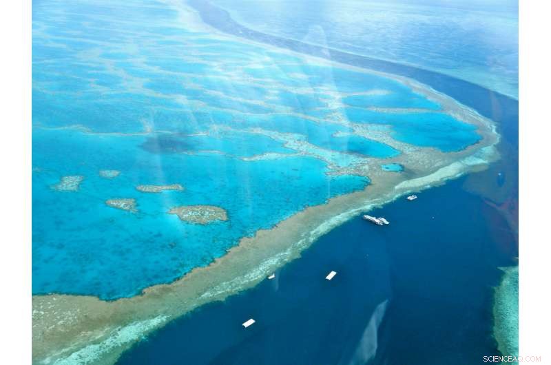 Global Community Mobilizes to Protect the Great Barrier Reef