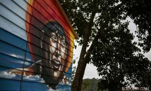 Guarani‑Mbya Tribe Near São Paulo Struggles to Preserve Their Reservation