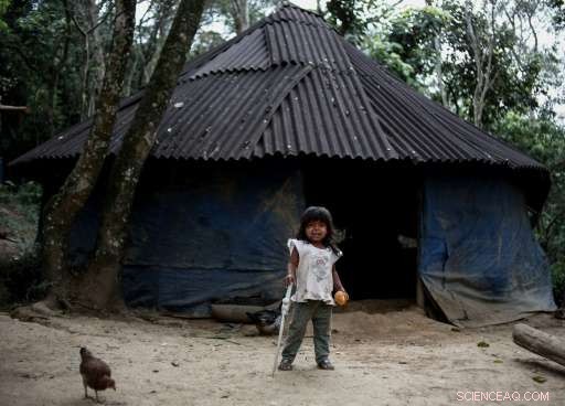 Guarani‑Mbya Tribe Near São Paulo Struggles to Preserve Their Reservation