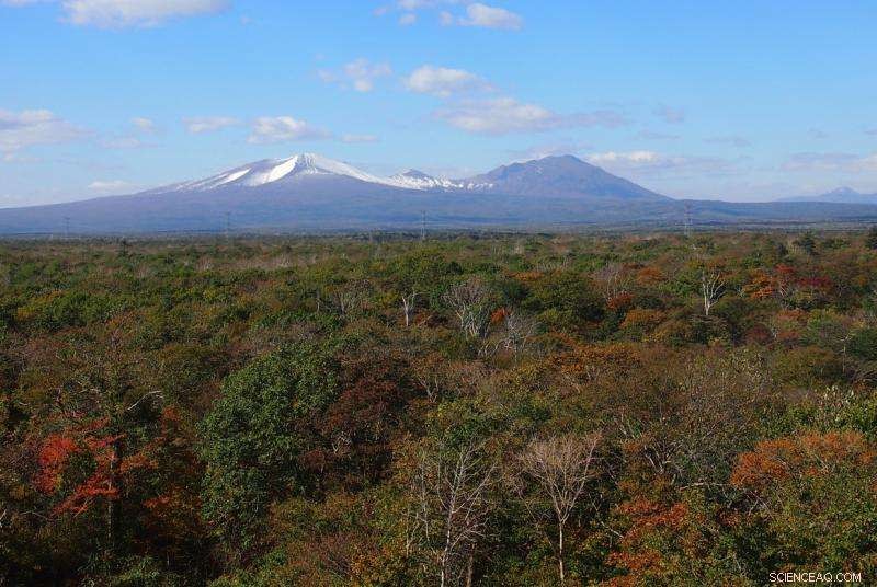 Biogenic Organic Emissions Suppress Cloud Formation, Unveiling Key Climate Mechanisms