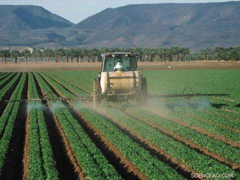 High Nitrogen Levels Threaten Earth’s Ecosystems: New Study Reveals Global Risks