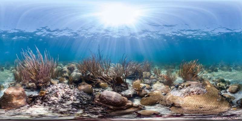 18th-Century Nautical Charts Reveal Coral Reef Decline