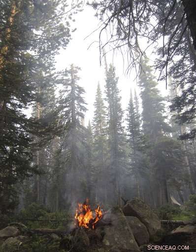 U.S. Firefighters Adapt Strategies to Contain Wildfires Amid Billions of Dead Trees