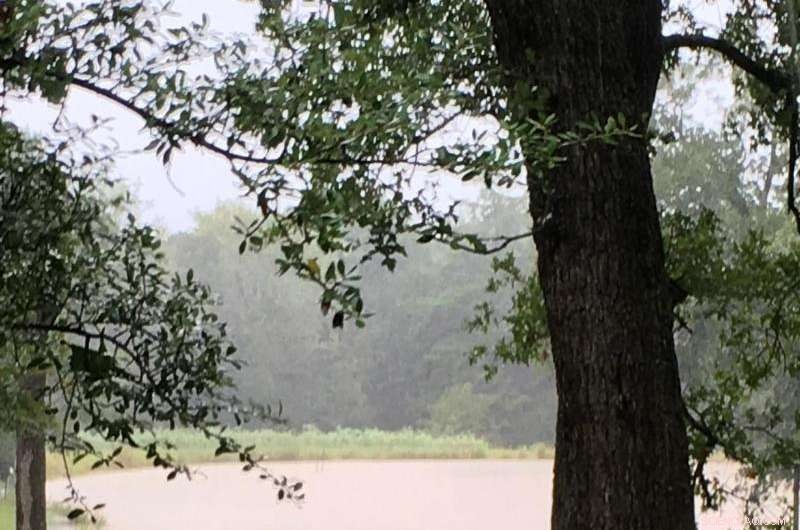 Assessing Hurricane Harvey’s Long‑Term Impact on Texas Coastal Landscapes