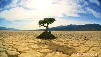 New Study Debunks Climate Change Link to Syrian Civil War