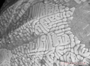 Imperial College Scientists Discover Fossilized Cosmic Dust in Dover s White Cliffs