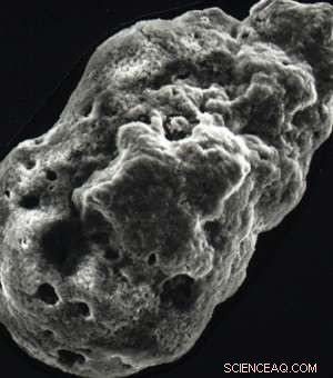 Imperial College Scientists Discover Fossilized Cosmic Dust in Dover s White Cliffs