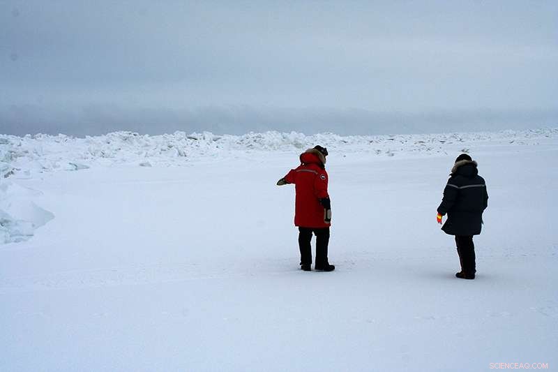 Arctic Iodine Measurements Reveal Ozone Depletion and Air Pollution Insights