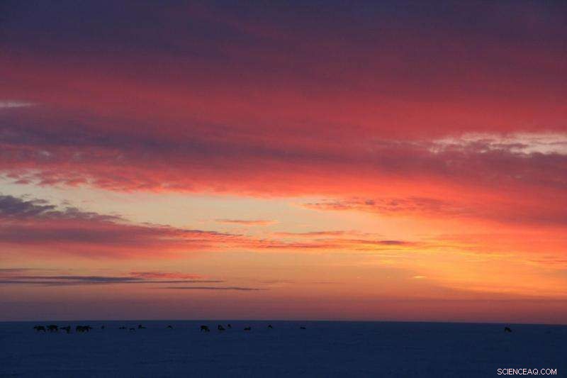 Arctic Iodine Measurements Reveal Ozone Depletion and Air Pollution Insights