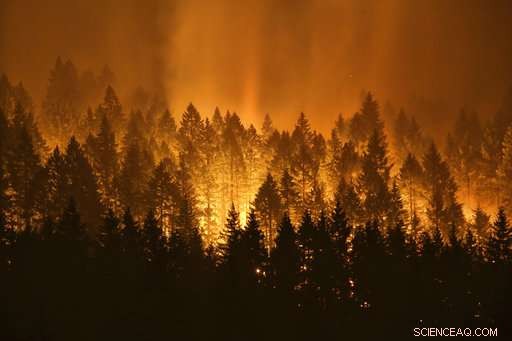 Unprecedented U.S. Wildfire Season: Key Factors Driving Record-High Destruction