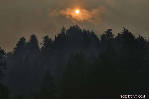 Unprecedented U.S. Wildfire Season: Key Factors Driving Record-High Destruction