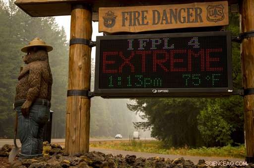 Unprecedented U.S. Wildfire Season: Key Factors Driving Record-High Destruction