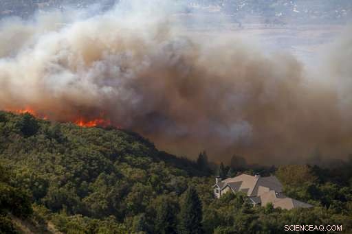 Unprecedented U.S. Wildfire Season: Key Factors Driving Record-High Destruction
