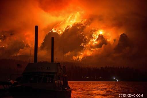Unprecedented U.S. Wildfire Season: Key Factors Driving Record-High Destruction