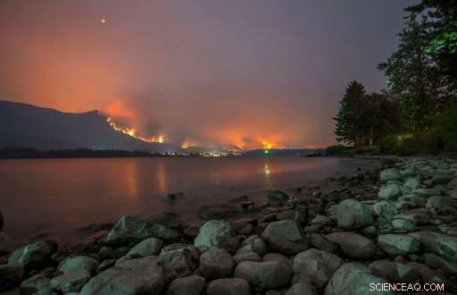 Unprecedented U.S. Wildfire Season: Key Factors Driving Record-High Destruction