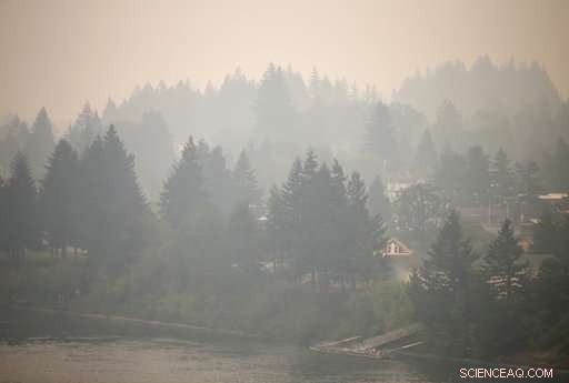 Wildfire Smoke Chokes the West, Yet Bolsters Firefighters